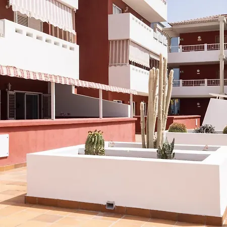 Apartment Frontline Starfish With Pool Puertito de Guimar